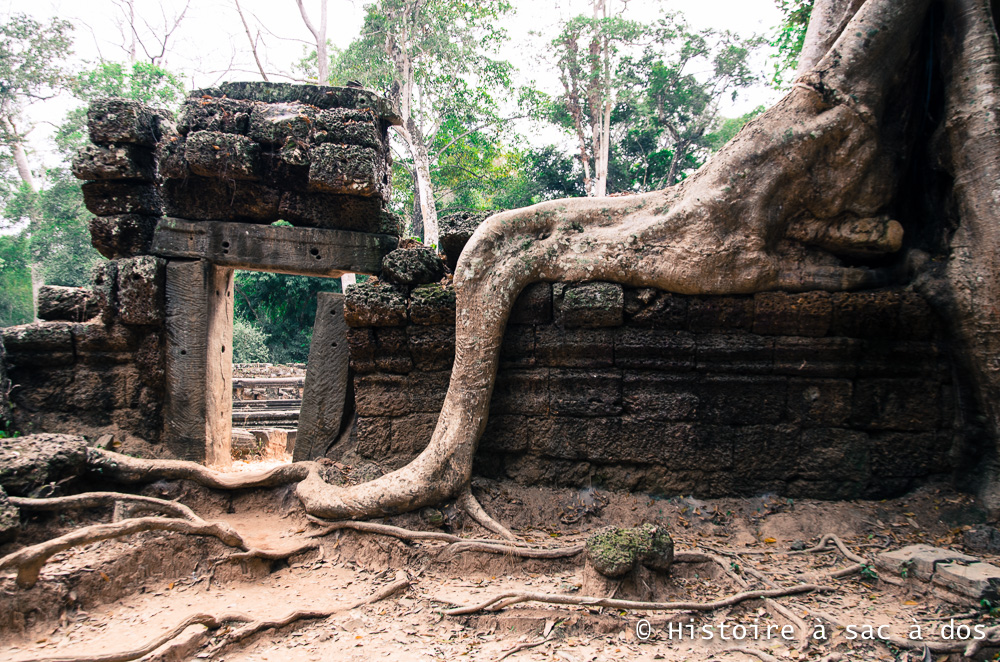 Templo de Ta Prohm - Angkor