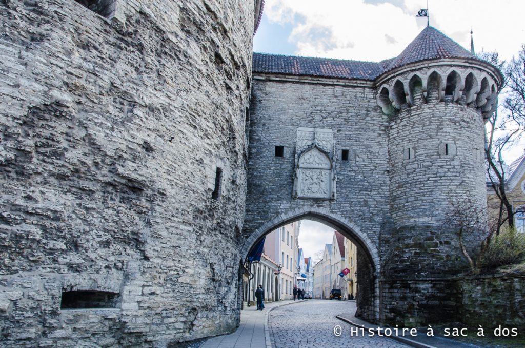 Si bien la ciudad moderna está a solo unos pasos detrás de nosotros, esta enorme puerta nos lleva al pasado medieval de Tallin. Construida en los siglos XV y XVI, la puerta está adornada con magníficos escudos de armas con dos grifos. La fecha 1529 indica el año en que se completó la puerta.